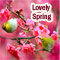 Lovely Cherry Blossom With Lovely You.