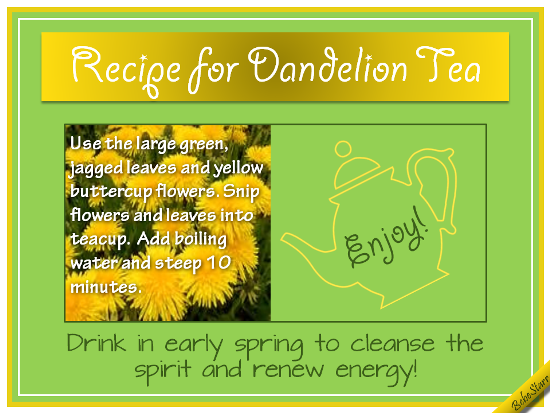 Recipe For Dandelion Tea.
