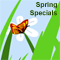 Spring As Special As You Are!