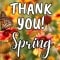 Thank You Spring Wishes