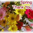 Thank You For Your Spring Wishes.