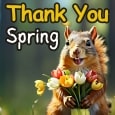 Thank You Wishes During This Spring!