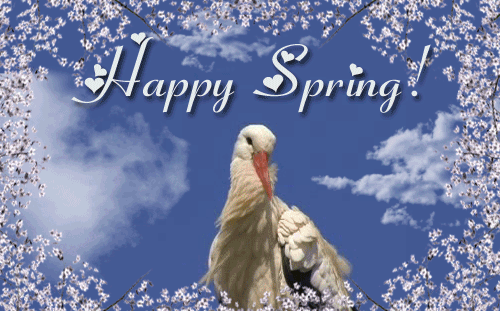 Wonderful Spring!