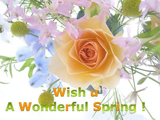 Wishes For A  Wonderful Spring.