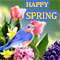 Happy And Colorful Spring Wishes!