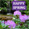 Colorful And Joyful Spring Flowers!