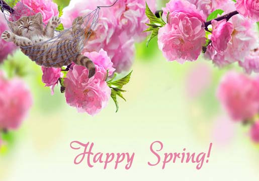 happy spring day