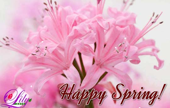 Flowers Are Blooming Everywhere. Free Happy Spring eCards | 123 Greetings