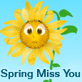 Spring Miss You...
