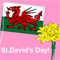 A Perfect St. David's Day!