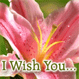 I Wish You...