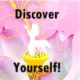 Discover Yourself Like A Lotus!