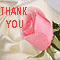 A Thank You Rose For You!