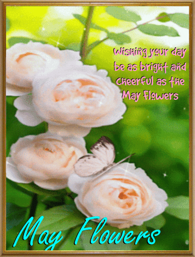 May Flowers Ecard For You.