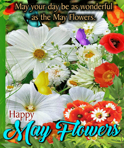 A Happy & Wonderful May Flowers Ecard.