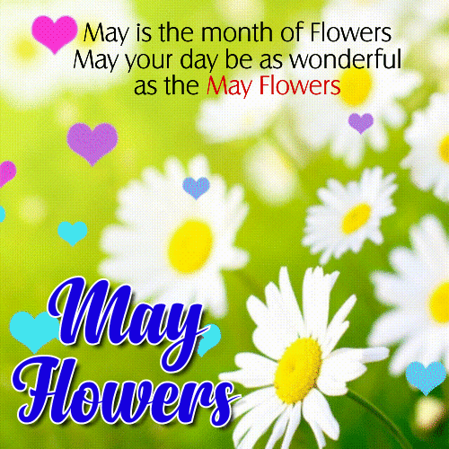 May Is The Month Of Flowers.