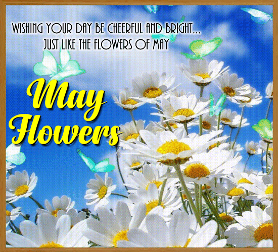 A Cheerful And Bright May Flowers. Free May Flowers eCards | 123 Greetings