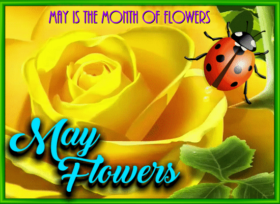 The Month Of Flowers.