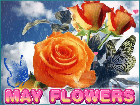 May Flowers Greeting Card For You.