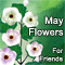 May Flowers For Friends.