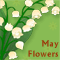 May Flowers For Someone Special.