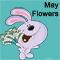 A Cute Wish With May Flowers.