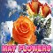 May Flowers Greeting Card For You.