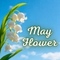 Share The Sweetness Of Mayblooms