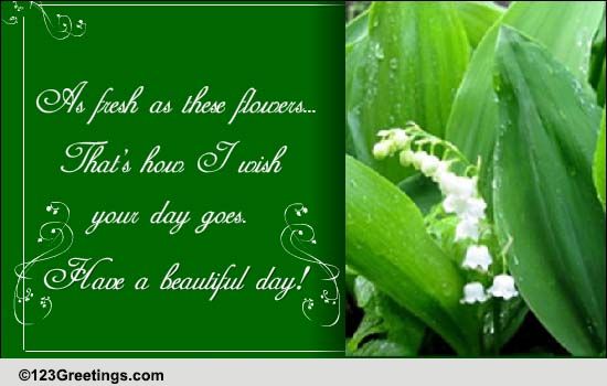 Fresh May Blooms For Loved Ones.