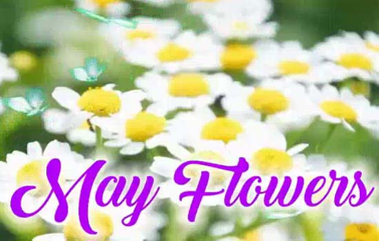 My May Flowers Card Just For . Free May Flowers eCards, Greeting Cards ...