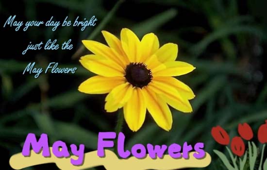 A May Flowers Message Card For You. Free May Flowers eCards | 123 Greetings