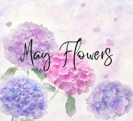 Beautiful May Flowers For You. Free May Flowers eCards, Greeting Cards ...