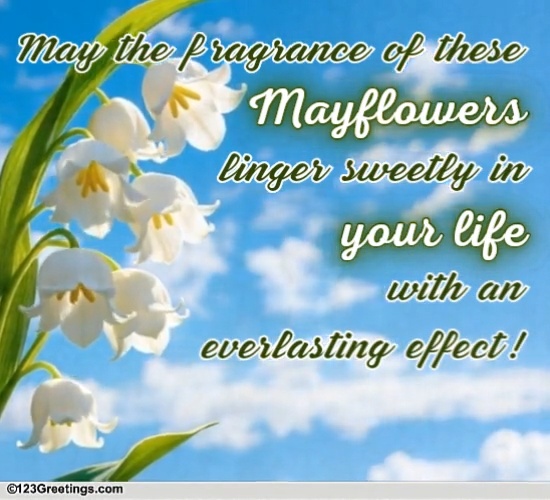 Share The Sweetness Of Mayblooms