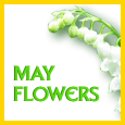 Bloom With Happiness!