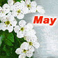 Wish For A Great Day With May Flowers.