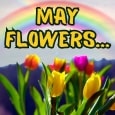 May Flowers Greetings.