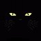 Dark Cat On Friday The 13th.