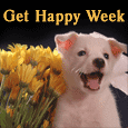 A Cute Get Happy Week Card.
