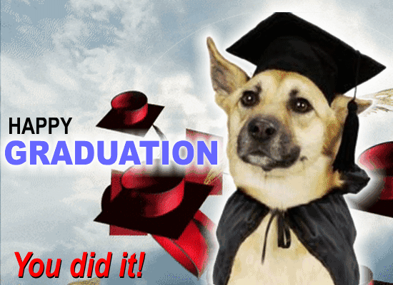 A Happy Graduation Card For You.