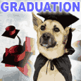 A Happy Graduation Card For You.