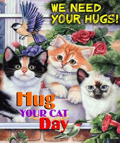 The Cats Need Your Hugs.