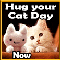Hug Your Cat Day I Need A Big One Now!