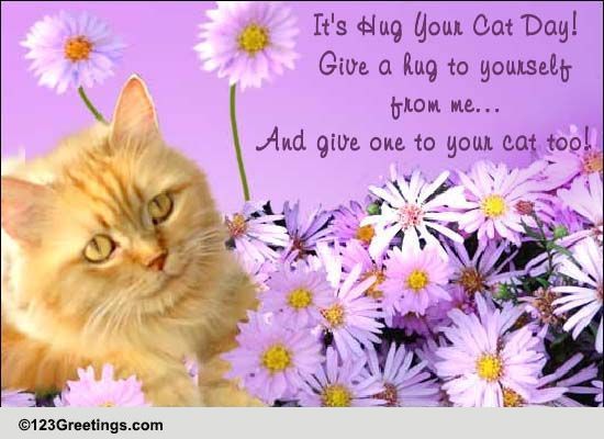 A Hug From Me... Free Hug Your Cat Day eCards, Greeting Cards | 123 ...