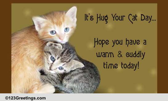 Send Warm & Cuddly Hugs...