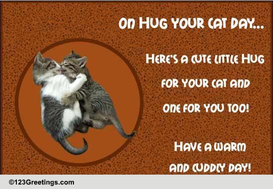  Share Warm Hugs On Cat Day!