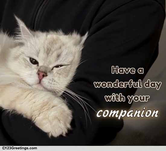 Wish A Cat Parent Today With An Ecard