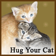 Warm &#x26; Cuddly Day...