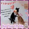Hugging Your Cat Can Decrease Stress.