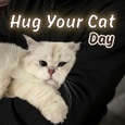 Wish A Cat Parent Today With An Ecard