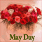 A Rosy May Day...